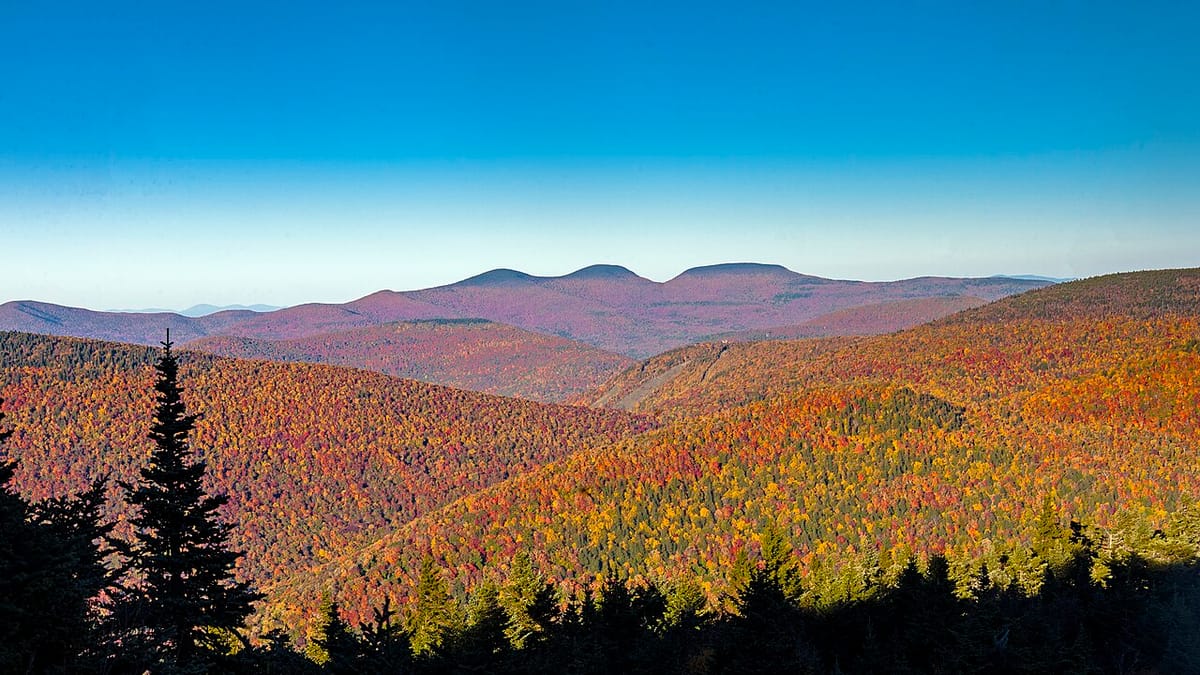 Ridge after ridge of hardwood forest at peak red and orange, the pattern a foliage forecast has to predict
