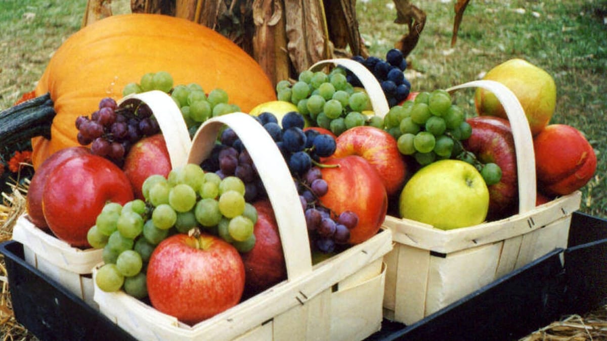 A cornucopia spilling autumn produce, the classic emblem of the harvest holidays