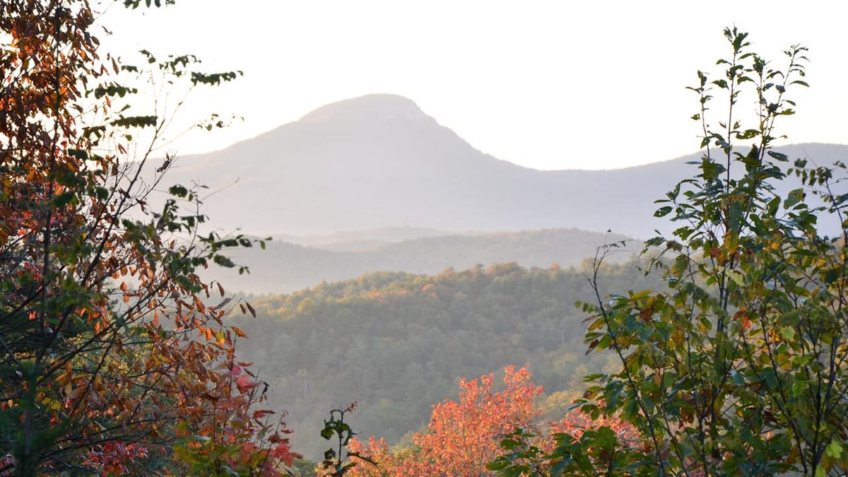 A forest at the start of autumn, first patches of color among green