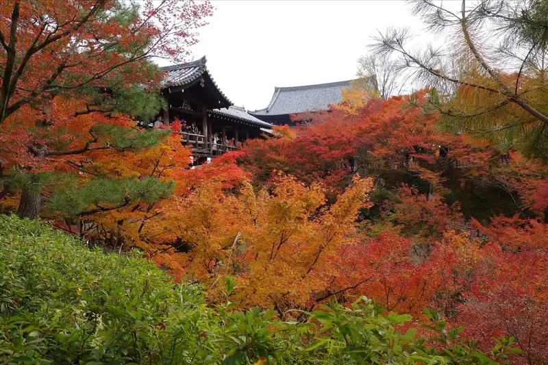 Autumn foliage at Tofuku-ji